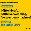 Grafik mit gelbem Hintergrund. Text: Fördermittelmanagement. #DSEEinformiert: Mittelabrufe, Mittelverwendung, Verwendungsnachweise. 5. Sept., 17:00-18:15 Uhr. d-s-e-e.de