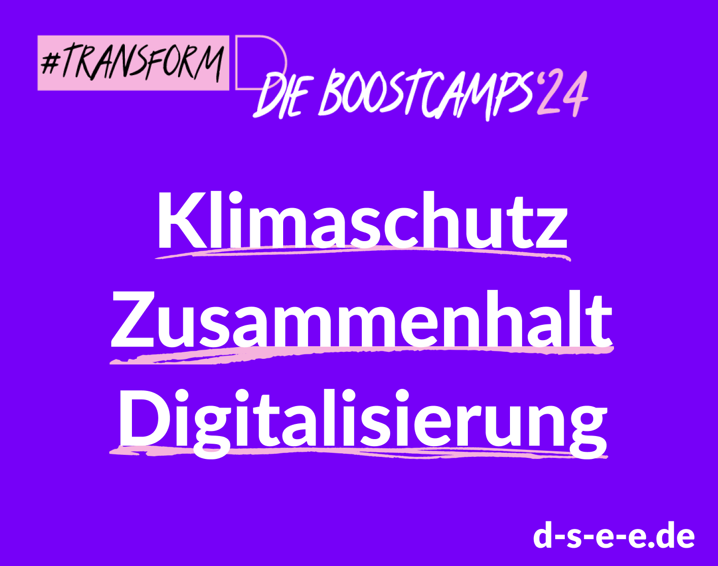 Grafik mit dem Text #TransformD Die Boostcamps '24. Klimaschutz. Zusammenhalt. Digitalisierung. d-s-e-e.de