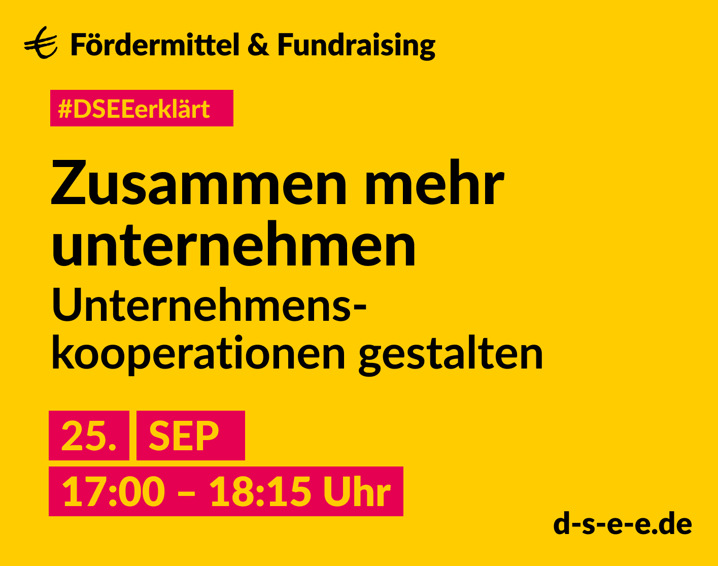 Gelbe Graik mit dem Text: € Fördermittel & Fundraising #DSEEerklärt Zusammen mehr unternehmen. Unternehmenskooperationen gestalten. 25. September 2024, 17:00–18:15 Uhr