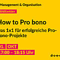 Gelbe Grafik mit dem Text: Management & Organisation. #DSEEerklärt How to Pro bono. Das 1x1 für erfolgreiche Pro-bono-Projekte. 01. Oktober 2024, 17:00–18:15 Uhr. d-s-e-e.de