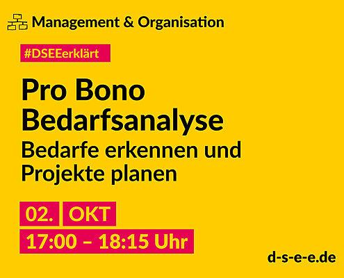 Gelbe Grafik mit dem Text: Management & Organisation. #DSEEerklärt Pro bono Bedarfsanalyse. Bedarfe erkennen und Projekte planen. 02. Oktober 2024, 17:00–18:15 Uhr. d-s-e-e.de