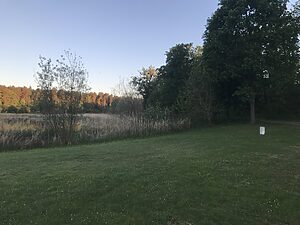 mit Schilf bewachsenes Ufer eines kleinen Sees, im Hintergrund ein spätsommerlicher Laubwald und im Vordergrund eine große Liegewiese