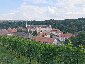 Im Vordergrund sind Rebstöcke zu sehen. Von einem Weinberg herab ist eine renovierte Klosteranlage zu sehen, im Hintergrund Wald, Felder und Windräder.